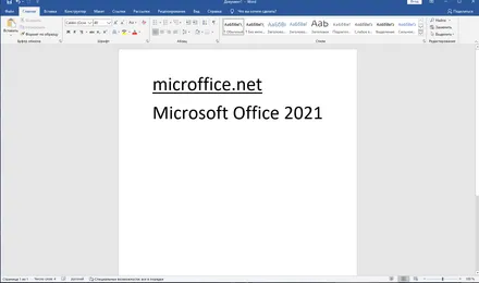 Microsoft Office 2021