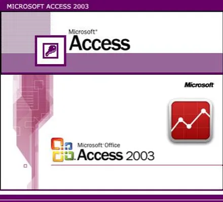 Microsoft Access 2003