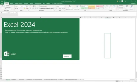 Microsoft Excel 2024